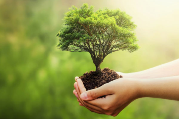 ZISW Masjid Raya Pulo Asem Revisi_0003_4 Wakaf